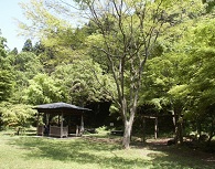 野田山健康緑地公園