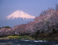 富士山百景写真コンテスト