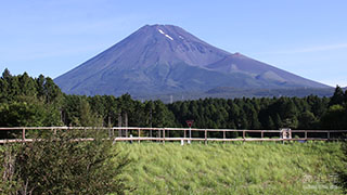 （写真）宝永火口と富士山