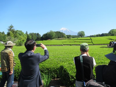 富士山と茶畑の写真を撮る姿