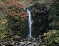 須津山休養林