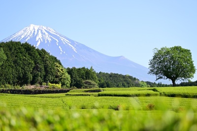 （画像）