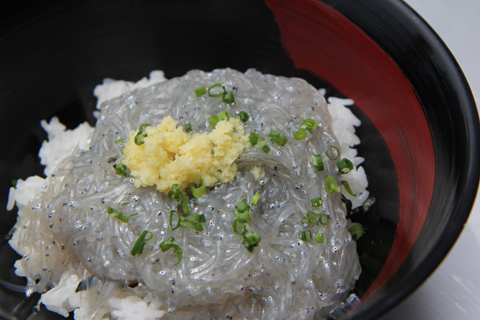 （写真）生シラス丼