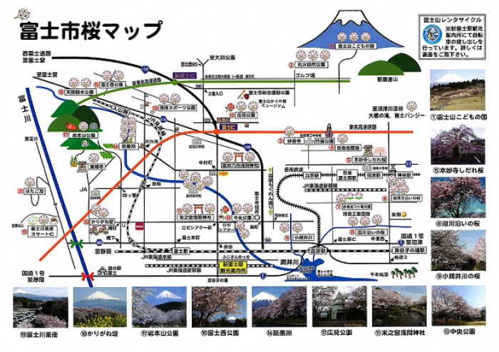 （地図）富士市桜マップ