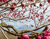 絶景★富士山　まるごと岩本山