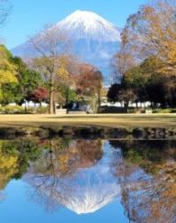 おすすめ富士山ビュースポット