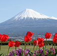 富士山壁紙集