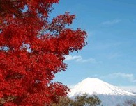 富士山壁紙集（秋）