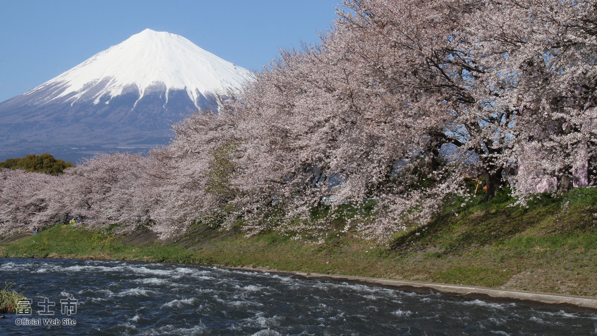 富士山壁紙集 春 富士じかん