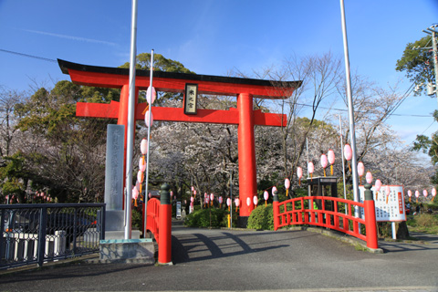 （写真）米之宮浅間神社　鳥居