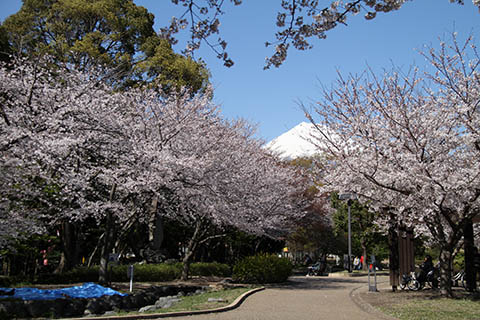 （写真）米の宮公園