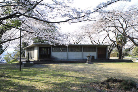 （写真）岳南忠霊廟の桜