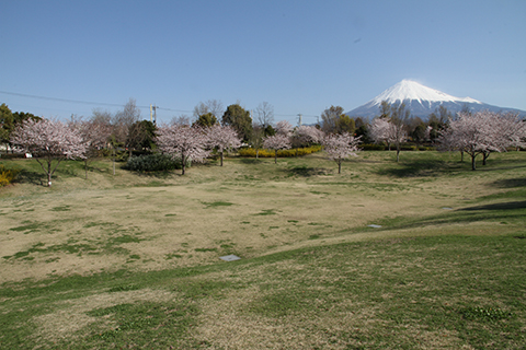 （写真）芝生広場