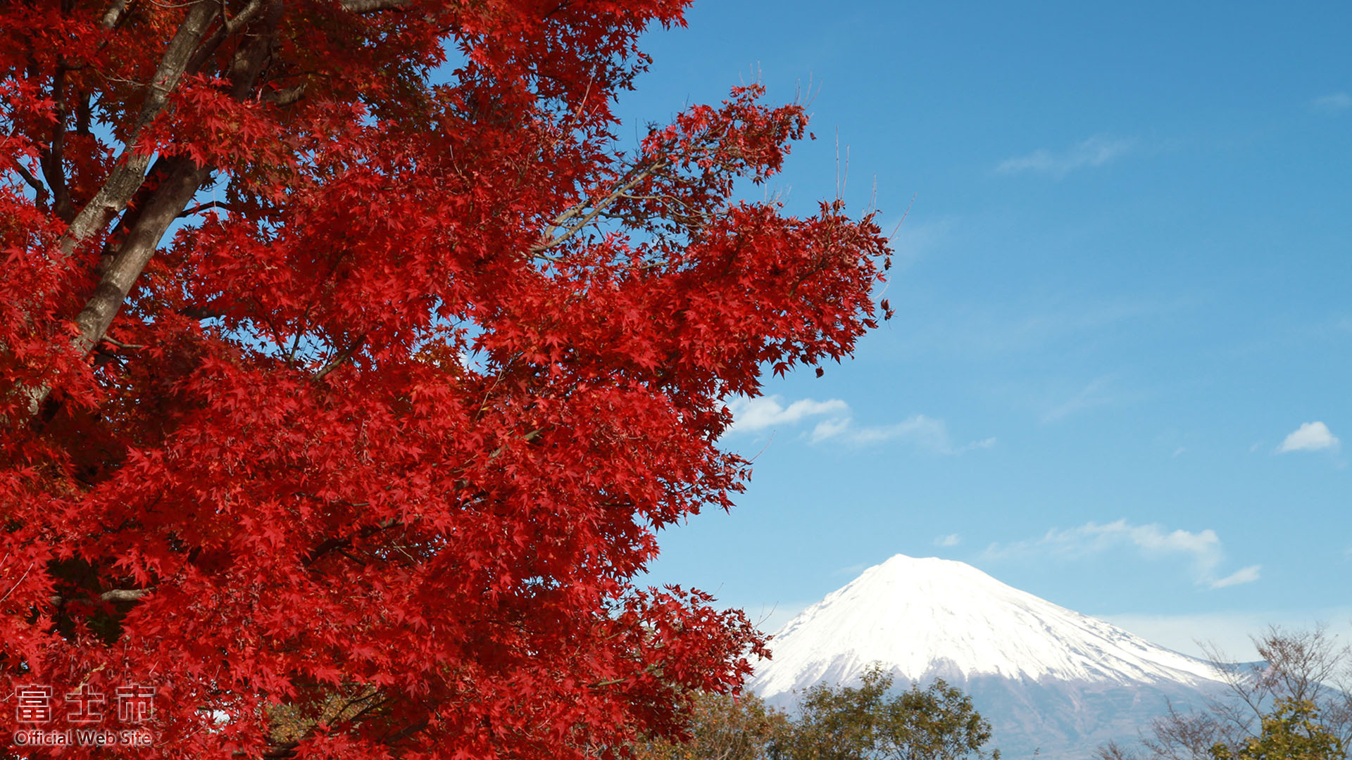 富士山壁紙集 秋 富士じかん