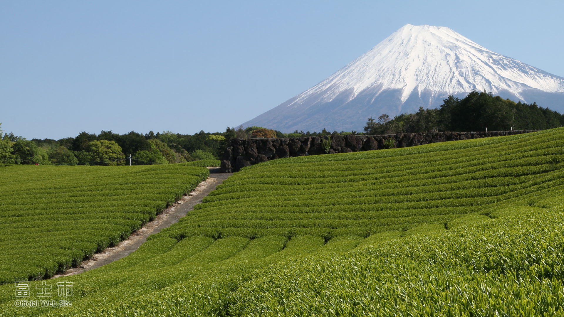 富士山壁紙集 春 富士じかん