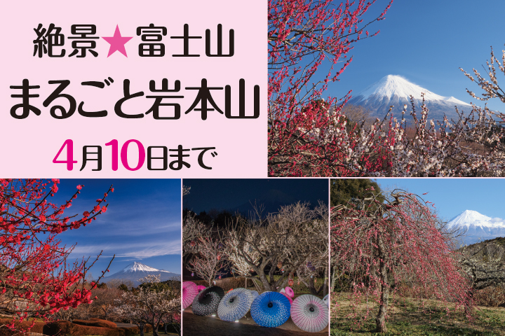 まるごと岩本山