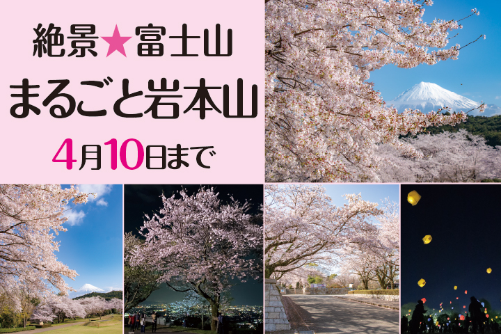 まるごと岩本山(桜)