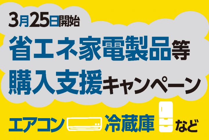 省エネ家電製品等補助金