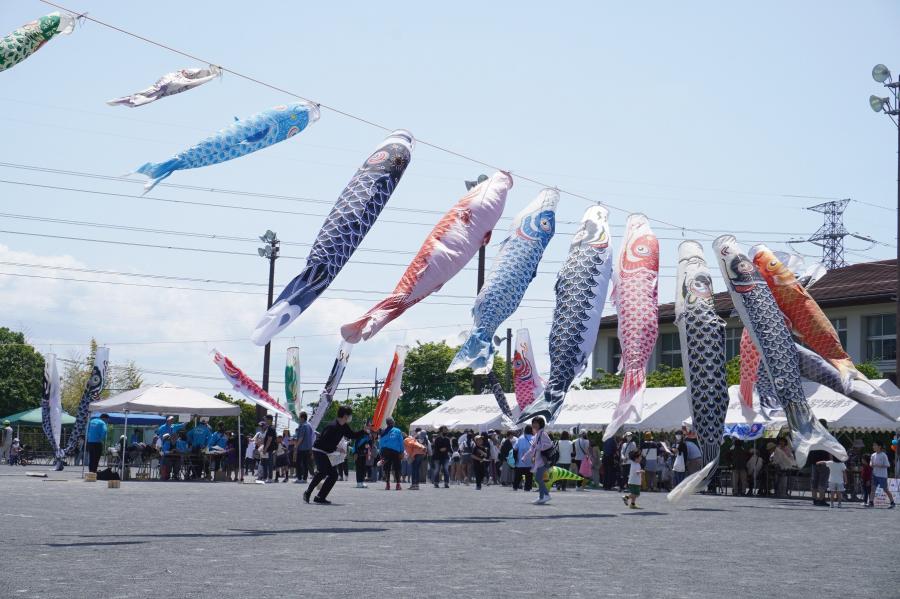 R7スポフェスこいのぼり