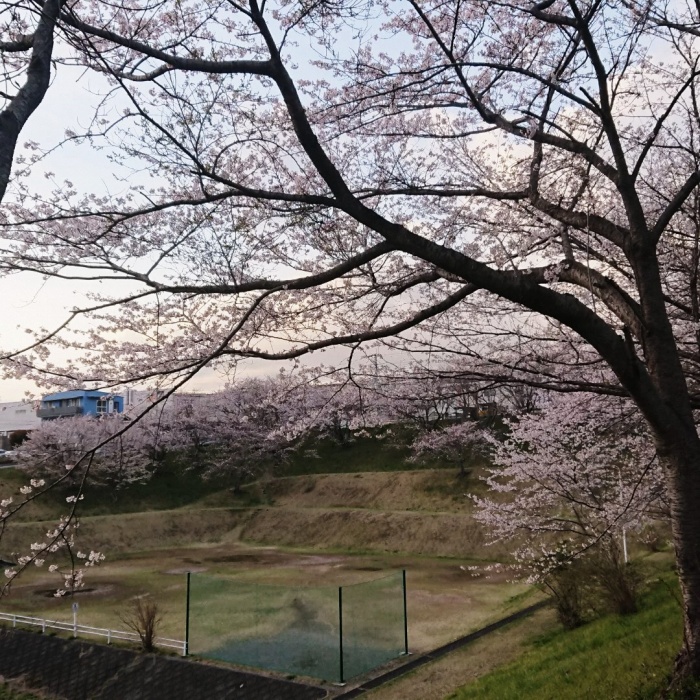 中の池写真