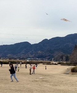 （写真）凧あげ大会
