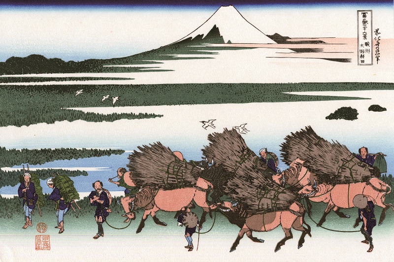 駿州大野新田