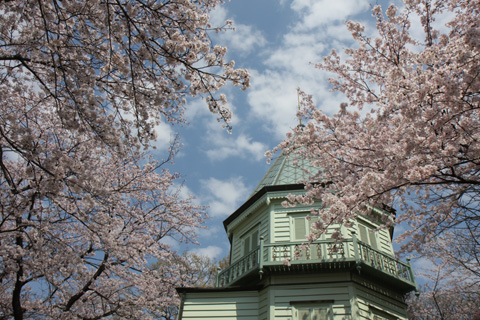 （写真）眺望館と桜