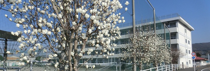 須津中学校校舎
