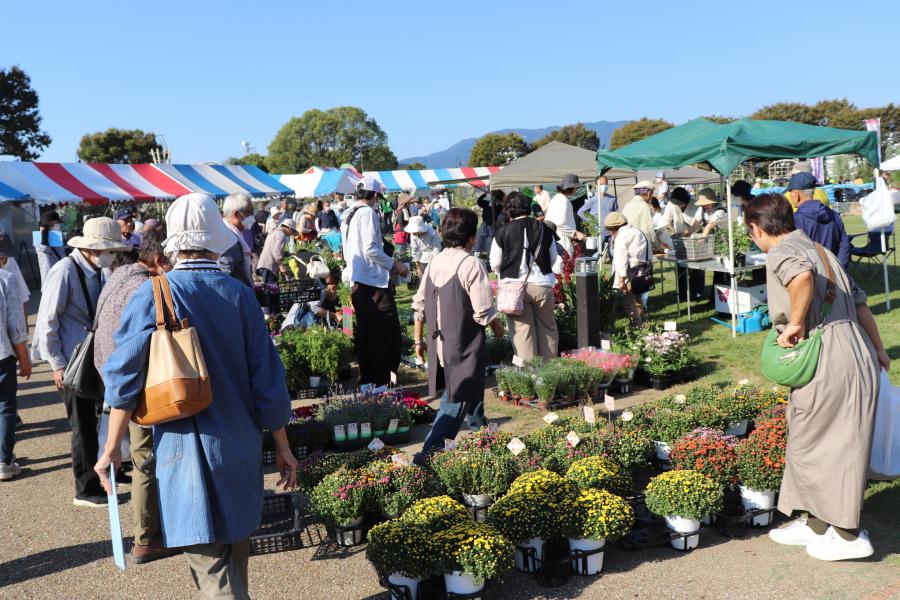 緑と花の百貨展の様子