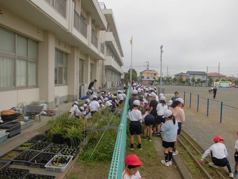 愛校3.
