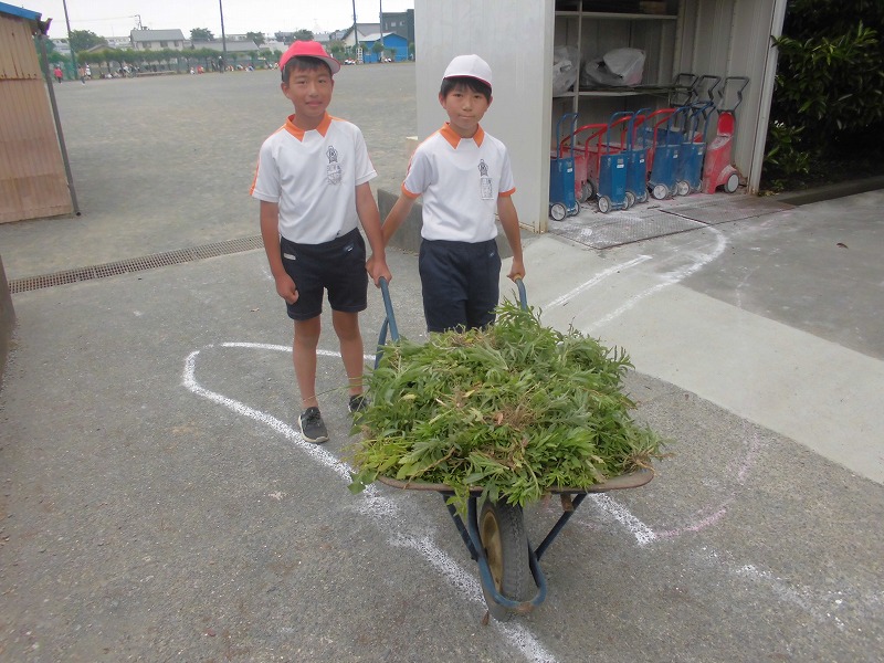愛校2.