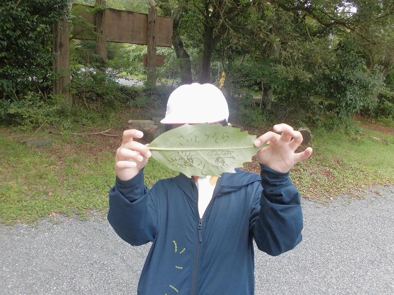 みどり1.