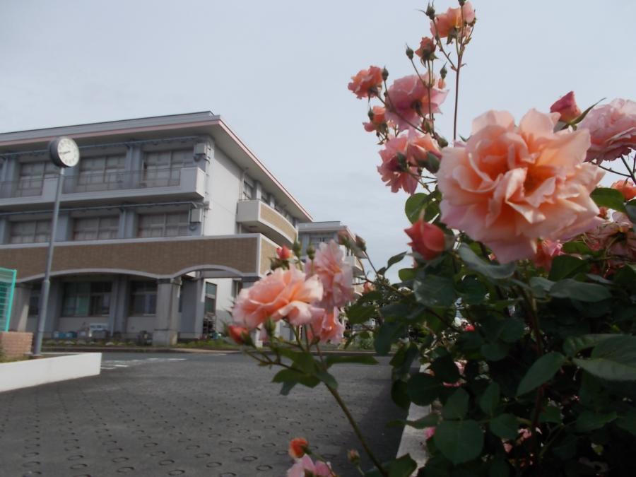 学校の風景