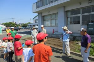 ひまわりの種まき