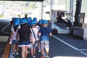 ヘルメットを着けて紙の工場を見学