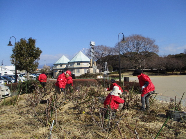 富士ばら会作業の様子