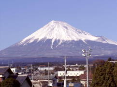 富士山を望む