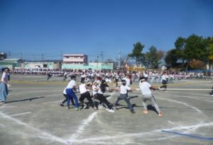 スポーツ大会5年生綱取りの様子