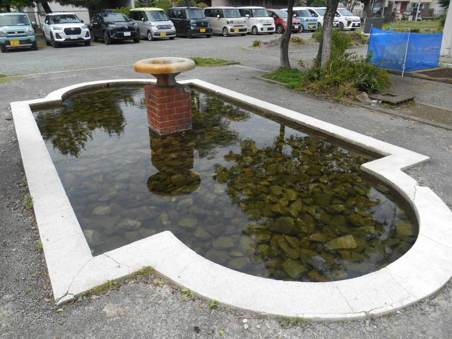 池全体