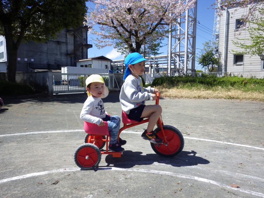 春の年少の写真