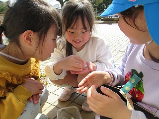 春の年長の写真