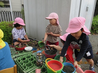 春の年中の写真