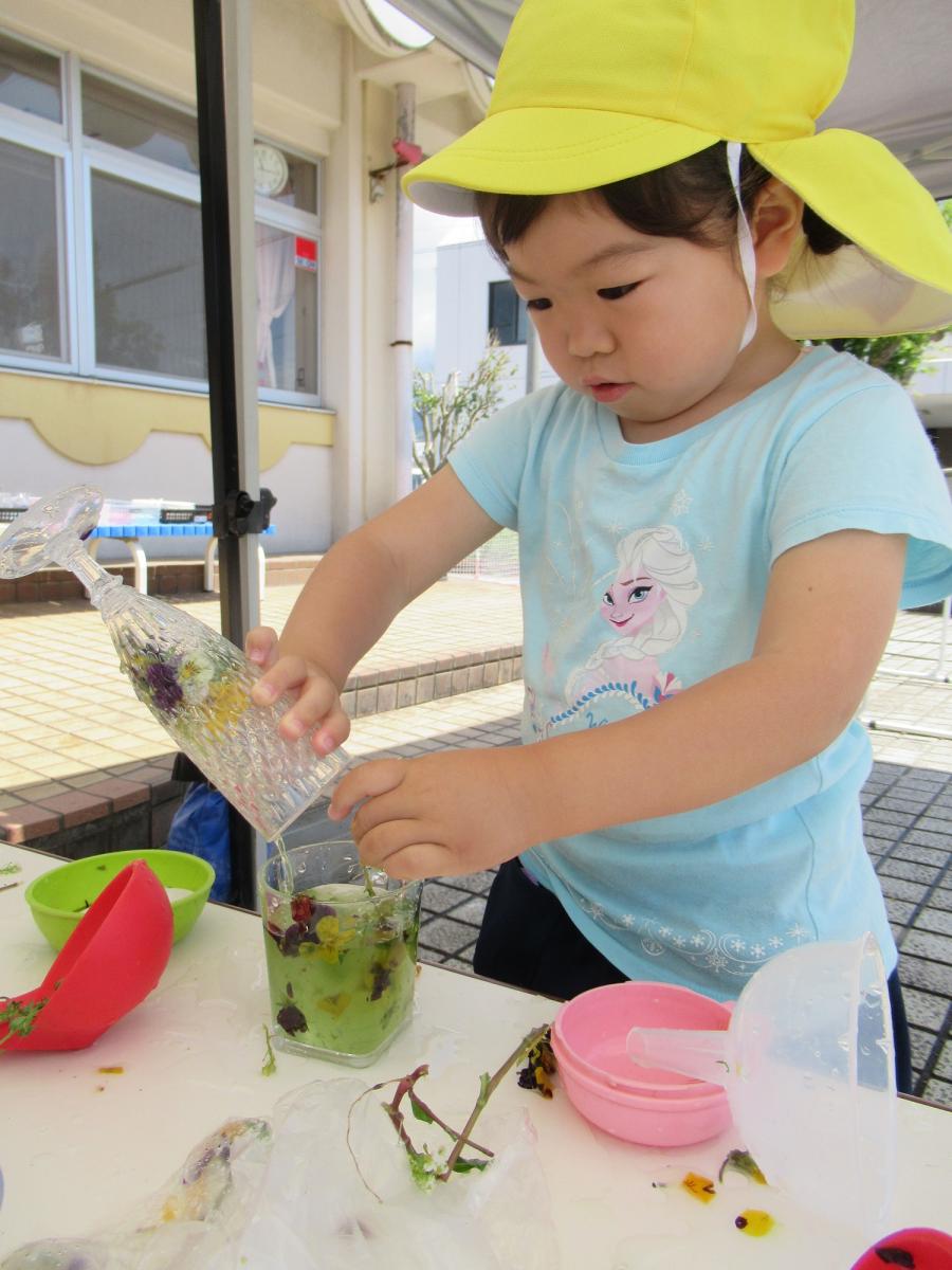 夏の年少の写真