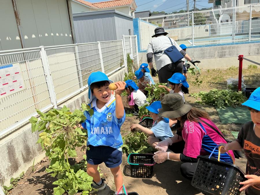 夏の年長の写真