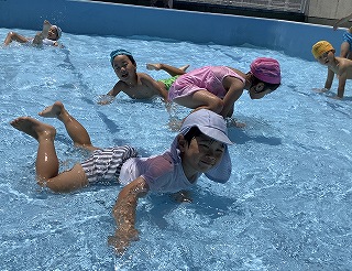 夏の年中の写真