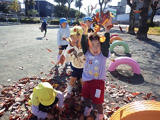 秋の年少の写真