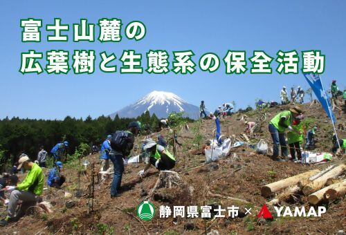 kouyoujukurahulan