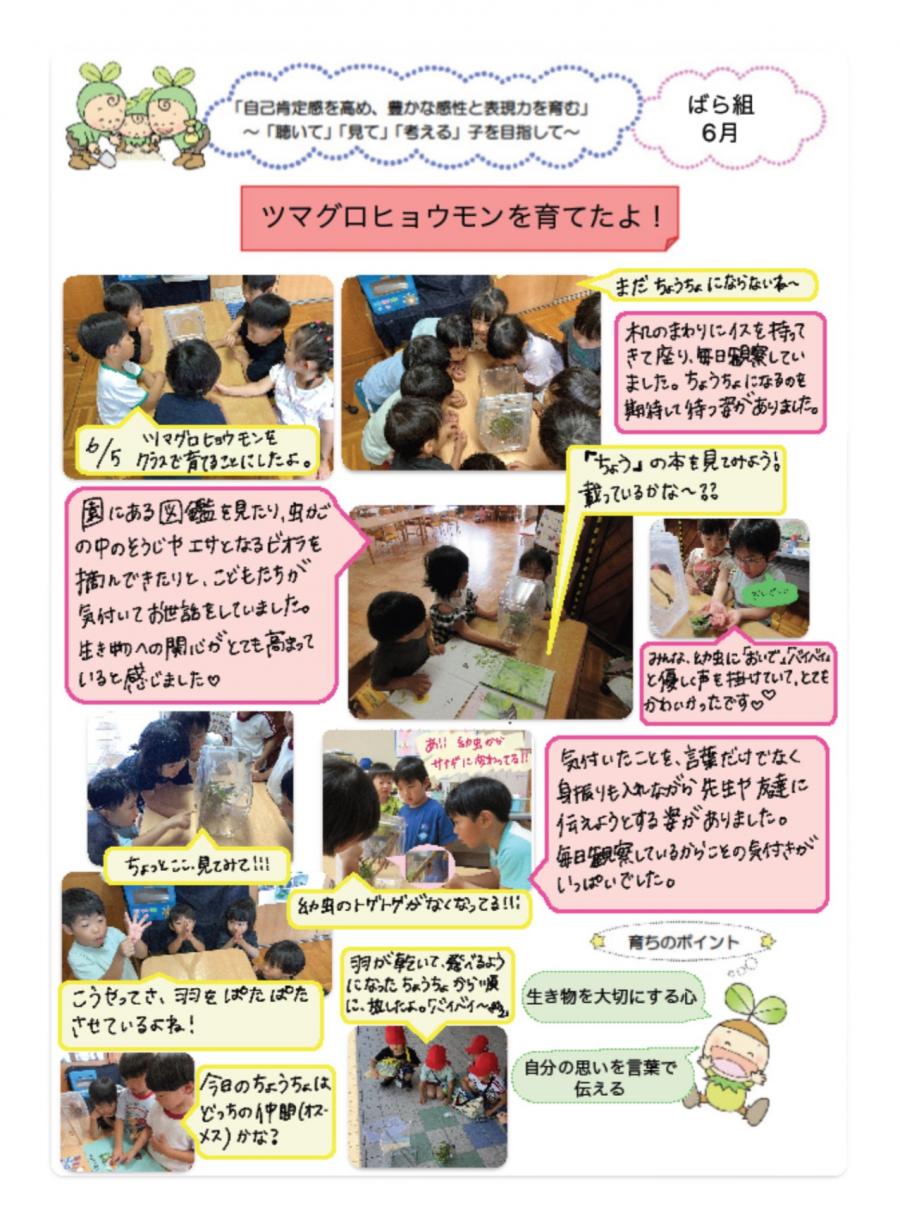 ばらツマグロ
