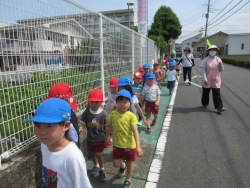 園外保育の様子