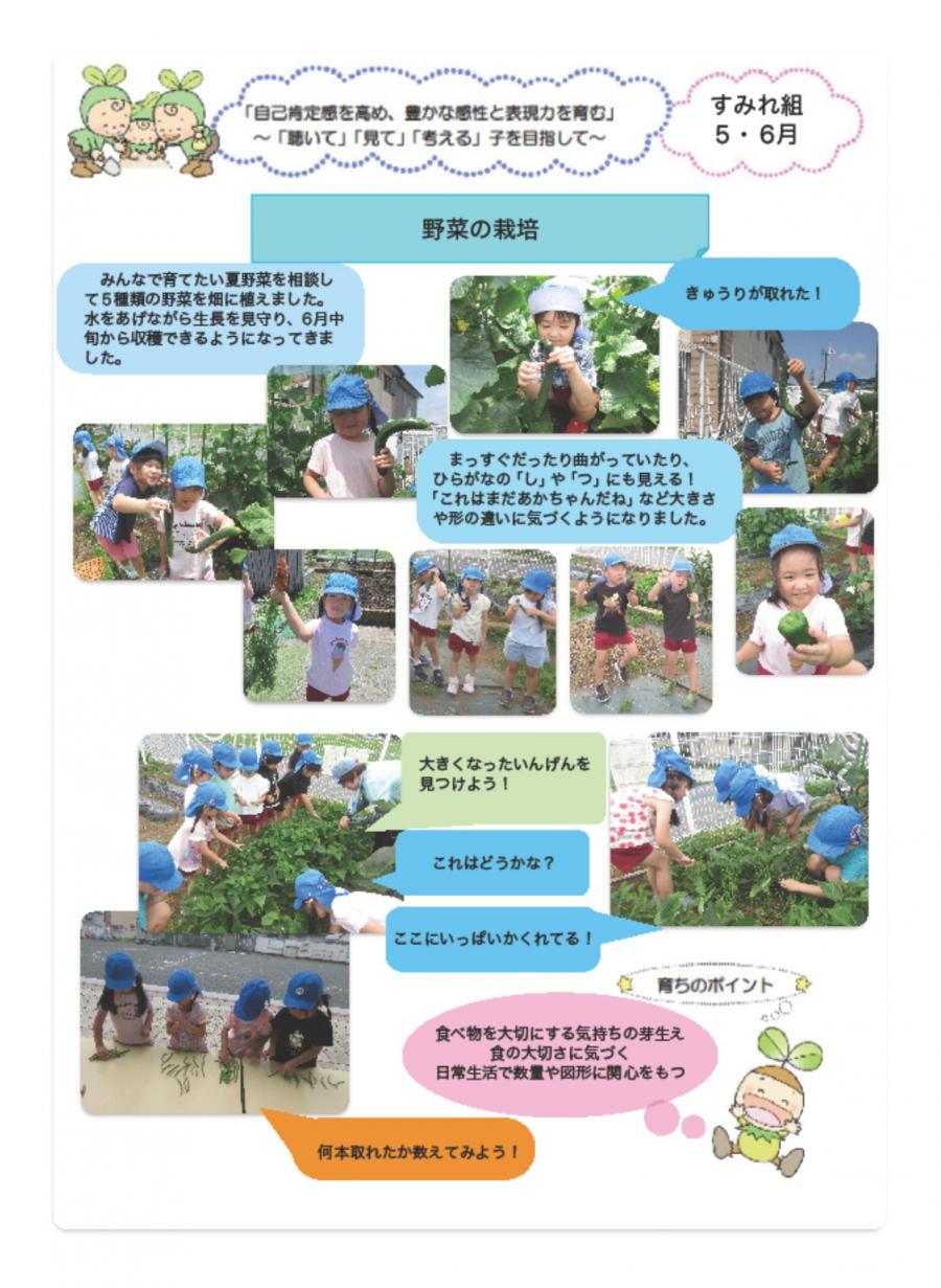 すみれドキュ野菜